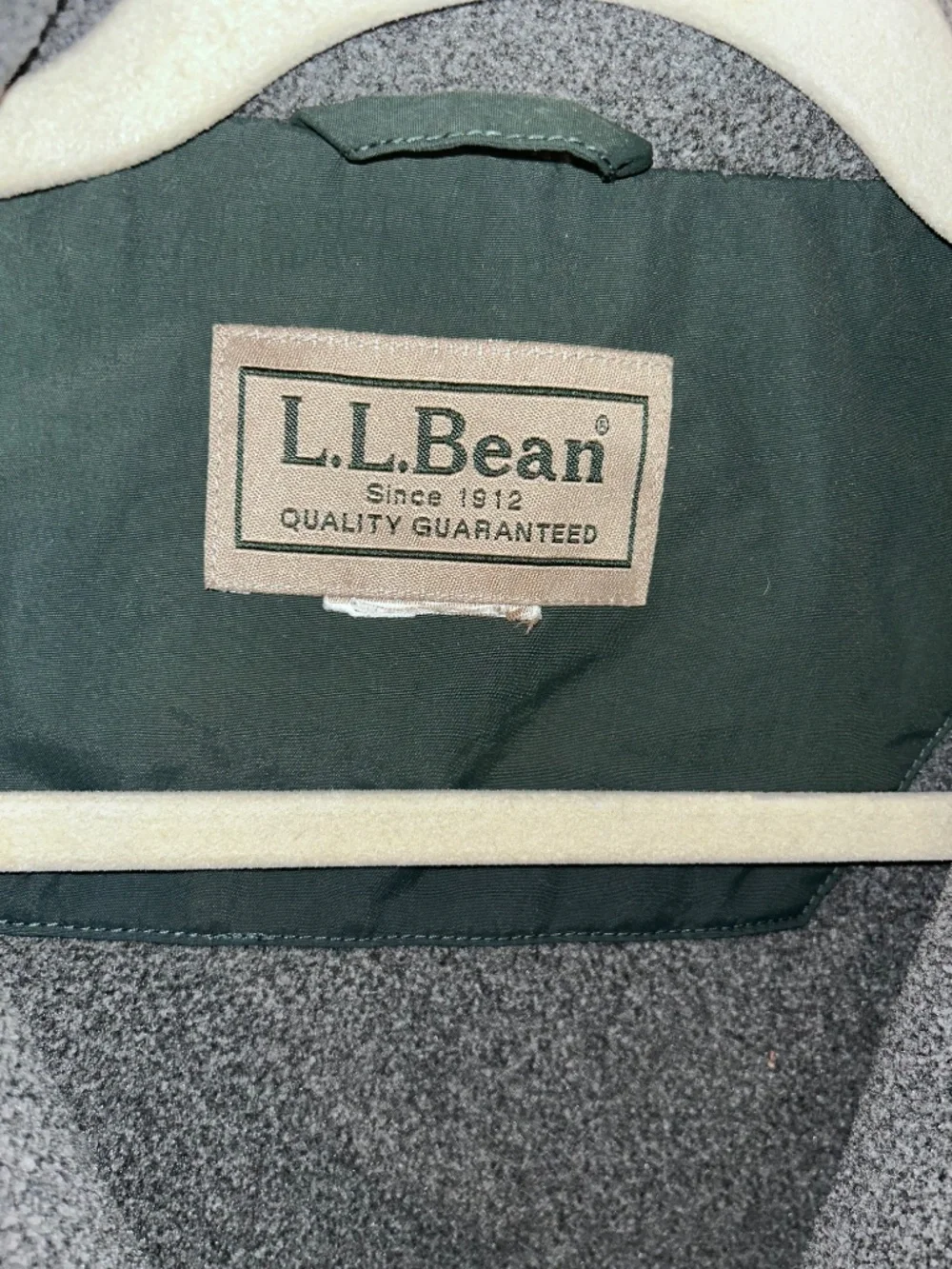 L.L. Bean bean forest